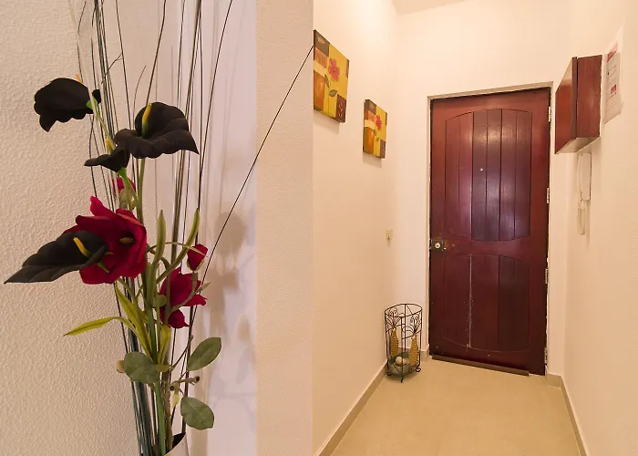 Lägenhet Lgs67 Bonito T2 A 100mts *